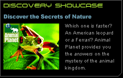 Discovery Showcase